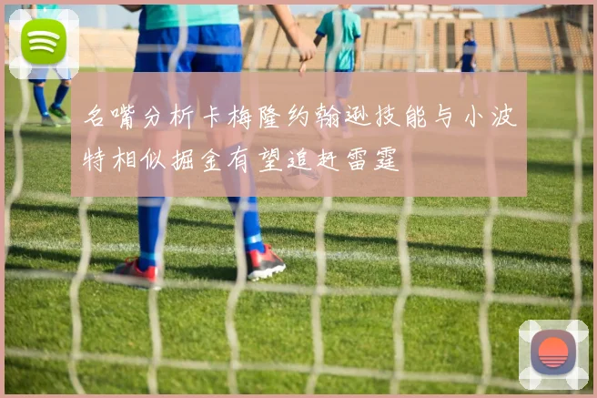 名嘴分析卡梅隆约翰逊技能与小波特相似掘金有望追赶雷霆