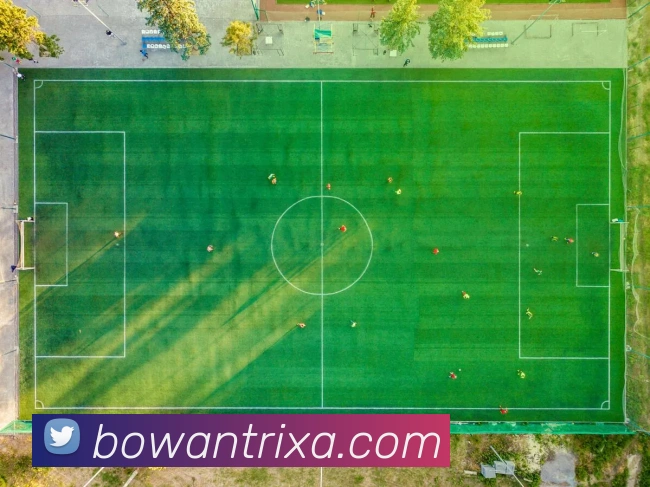 博万体育平台生态图