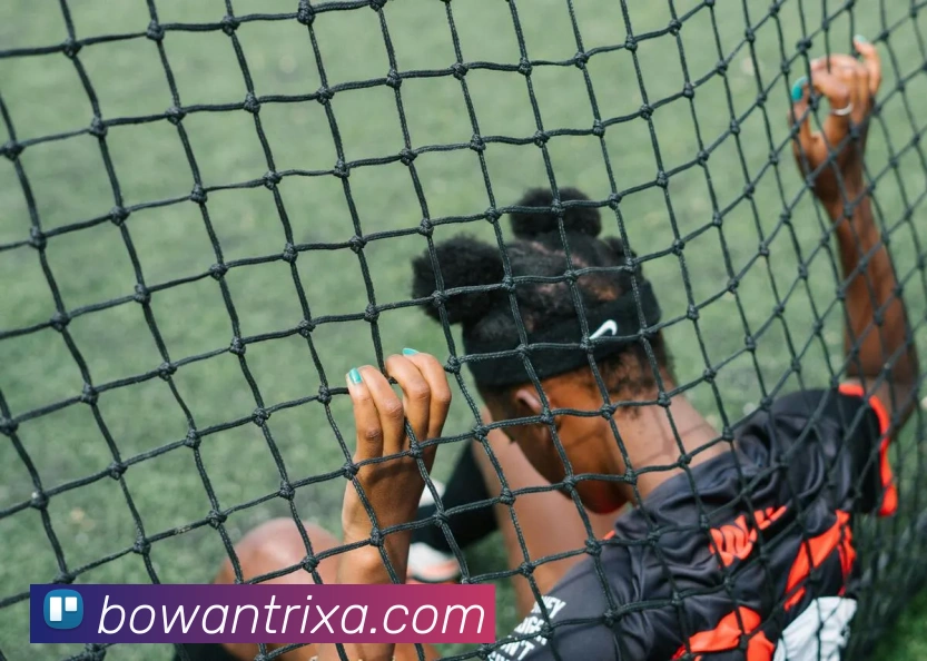 博万体育APP 封面图